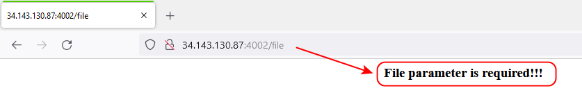 File parameter require